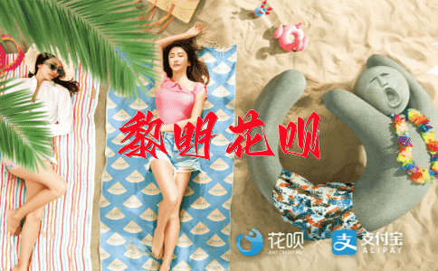 一案双查（多方面调查一个案件）花呗